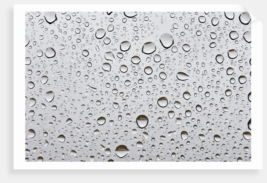 Water droplets on glass by Assaf Frank